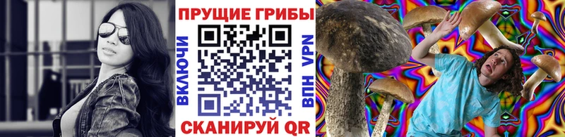 Купить  Поворино  Псилоцибиновые грибы мухоморы 